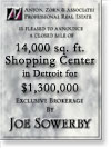 Detroit 14,000 SF Shopping Ctr